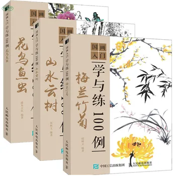 100 de Cazuri de Introducere și Practica Chineză Perie Pictura Carte de Prune, Orhidee Pasăre/Pește/Worm Tradiționale Carte de Desen